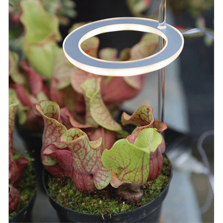 Full-spectrum LED Imitating Sun Coloring Plant Succulent Fill Light Lamp